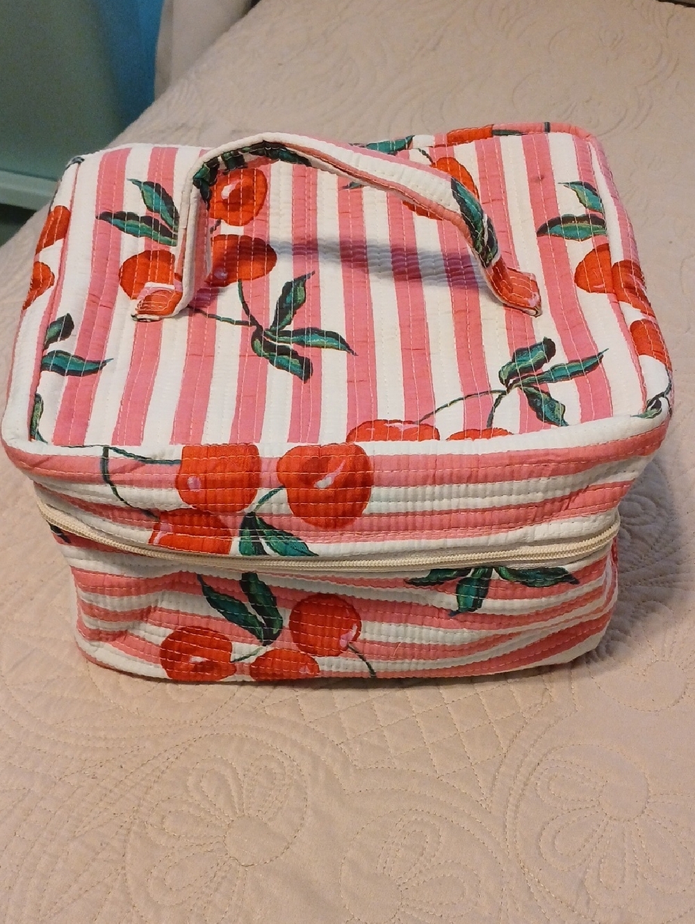 Striped Cherry Cosmetic Train Case - Pink & Red